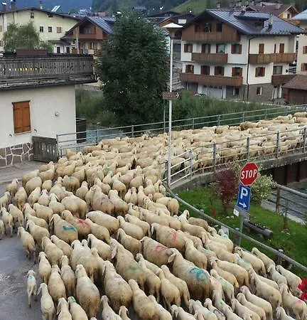 Appartamento Carmen Santo Stefano Di Cadore